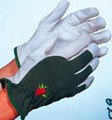 Premier Leather Palm Glove